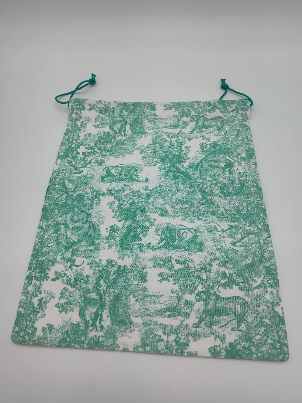 CHRISTIAN DIOR Green Toile de Jouy Dust Bag Drawstring Gift Pouch NWOT
